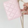 Chanel HAAS Mini Bag Pink For Women 3,7in/9,5cm