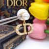 Dior Rice Grain CD Letter Earrings Gold For Women