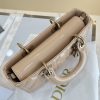 Dior Medium Lady D-Joy Bag Nude For Women 8,7in/22cm