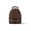 Louis Vuitton Palm Springs Mini Backpack For Women M44873- 8.7 Cm/ 22 Inches
